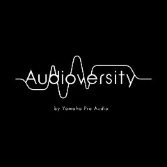 日博集团专业音响教育培训开展全新“Audioversity ”计划